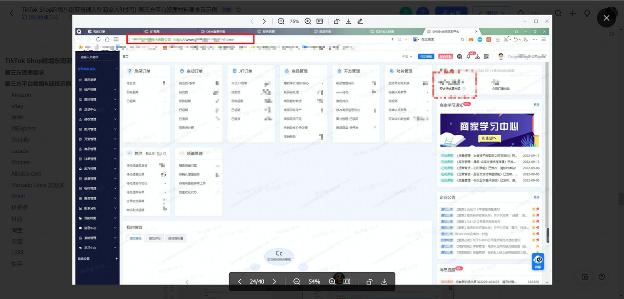 【东南亚】商家入驻指引-第三方平台资质材料要求及示例插图(26)